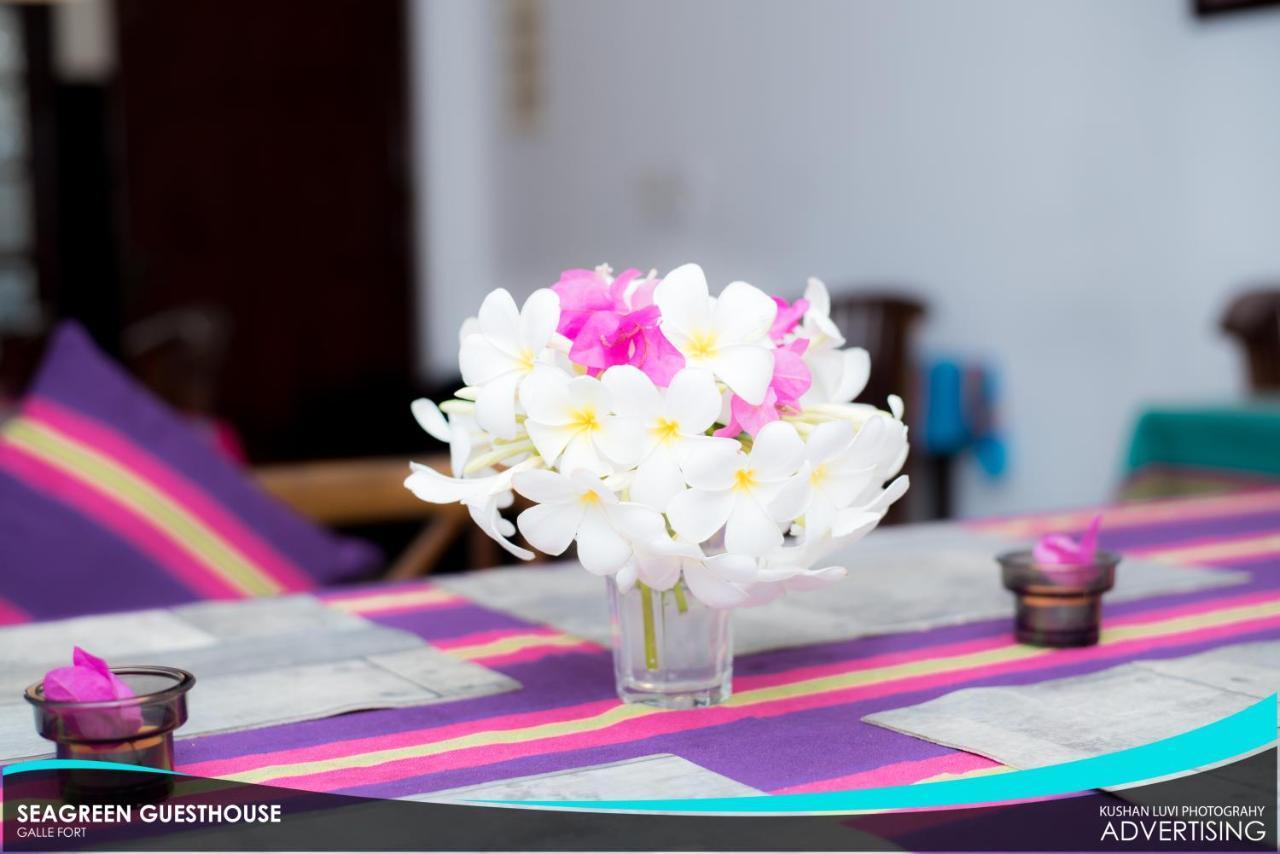 Seagreen Guesthouse - Galle Fort المظهر الخارجي الصورة
